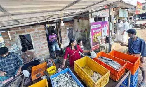 കളിസ്ഥലമൊരുക്കാൻ മത്സ്യവിൽപന