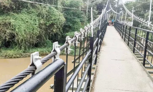 തൃ​പ്പാ​ളൂ​ർ തൂ​ക്കുപാ​ലം; ഉ​ദ്ഘാ​ട​ന ദി​വ​സം കൈ​വ​രി​ക​ൾ ത​ക​ർ​ന്നു