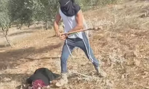 ‘ഒടുങ്ങാത്ത അധിനിവേശക്കൊതിയുമായി ഒലീവ് തോട്ടങ്ങളിലും അവരെത്തി’; ഒലീവ് ശേഖരിക്കാനെത്തിയ വയോധികയെ മർദിച്ച് ബോധരഹിതയാക്കി ഇസ്രായേൽ കുടിയേറ്റക്കാർ