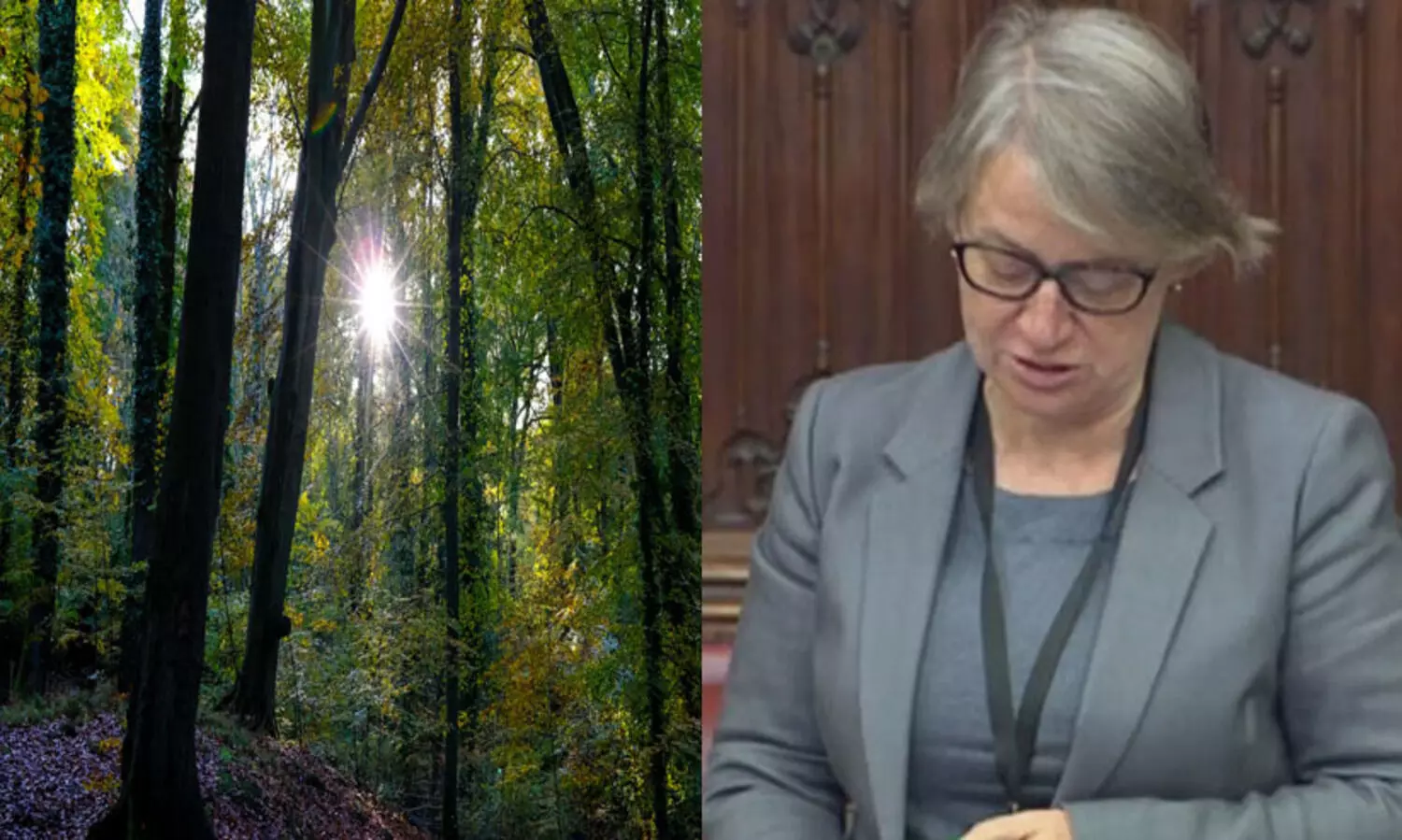 പ്രകൃതിക്കും വേണം നിയമപരമായ അവകാശങ്ങൾ; ‘ഹൗസ് ഓഫ് ലോർഡ്‌സിൽ’ ബില്ലുമായി ബ്രിട്ടീഷ് പരിസ്ഥിതി ​പ്രചാരകർ