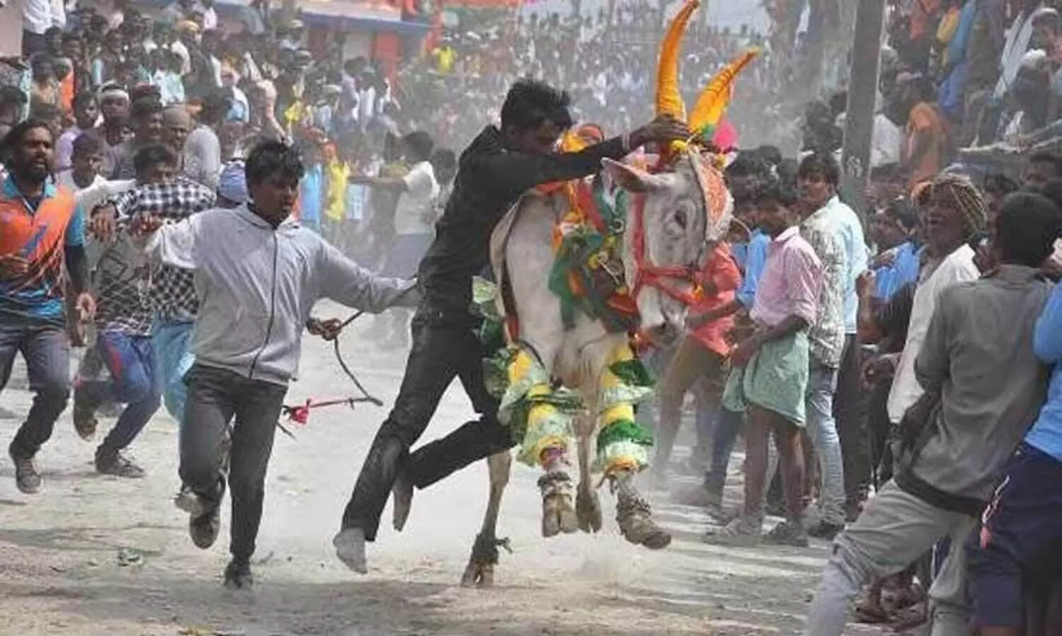 ‘കൊബ്ബാരി ഹോരി ഹബ്ബ’; കാളകളുടെ കുത്തേറ്റ് മൂന്ന് കാണികൾക്ക് ദാരുണാന്ത്യം