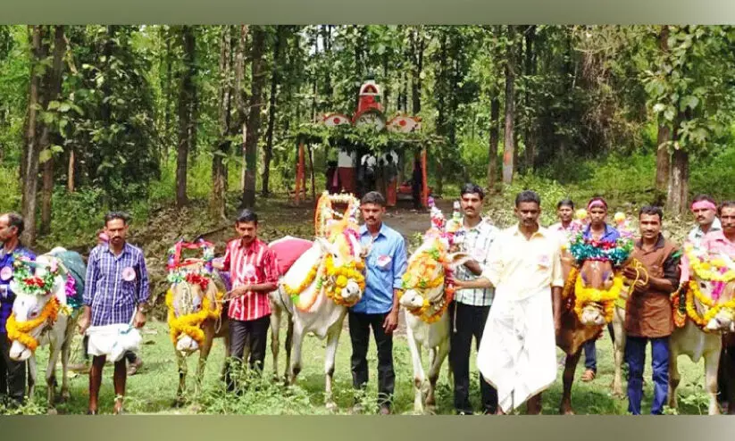 അതിജീവന ഓർമയില് കബനിക്കരയില് മൂരി അബ്ബ അതിജീവന ഓർമയില് കബനിക്കരയില് മൂരി അബ്ബ