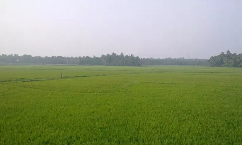 ഭൂമി തരംമാറ്റൽ അപേക്ഷ; തീർപ്പാക്കാനുള്ള പട്ടികയിൽ മലപ്പുറം രണ്ടാമത്