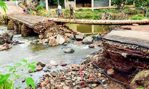ജനകീയ കൂട്ടായ്മ കൈകോര്‍ത്തു; കൂട്ടാര്‍ പുഴക്ക് കുറുകെ തടിപ്പാലം ഉയര്‍ന്നു