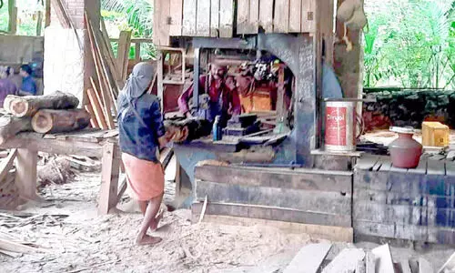 നിർമാണ മേഖല സജീവമായിട്ടും പ്രതാപം നഷ്ട​പ്പെട്ട് മരമില്ലുകൾ