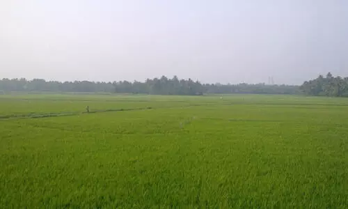 ഭൂമി തരംമാറ്റൽ അപേക്ഷ; തീർപ്പാക്കാനുള്ള പട്ടികയിൽ മലപ്പുറം രണ്ടാമത്