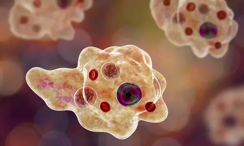 ജില്ലയിൽ വീണ്ടും മസ്തിഷ്‌ക ജ്വരം