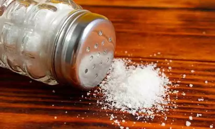 ഉപ്പ് വൃക്കരോഗിയാക്കും; അമിത ഉപയോഗം ഗുരുതര പ്രത്യാഘാതങ്ങളുണ്ടാക്കുമെന്ന് മുന്നറിയിപ്പുമായി വിദഗ്ദൻ