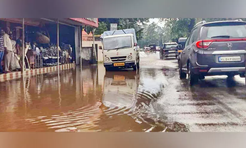 representative image representative image