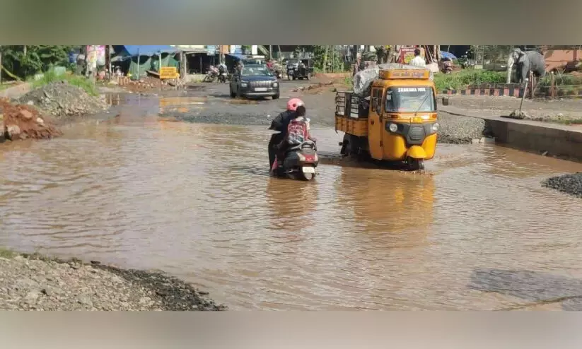 representative image representative image