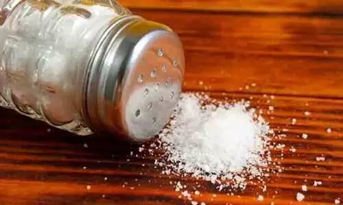 ഉപ്പ് വൃക്കരോഗിയാക്കും; അമിത ഉപയോഗം ഗുരുതര പ്രത്യാഘാതങ്ങളുണ്ടാക്കുമെന്ന് മുന്നറിയിപ്പുമായി വിദഗ്ദൻ