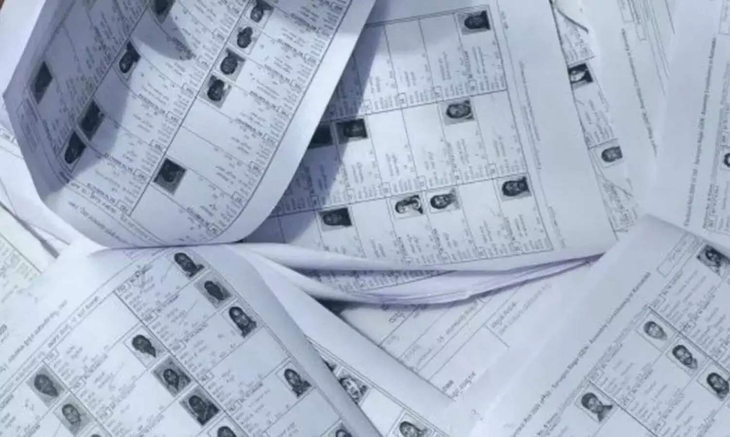 Local Government Elections