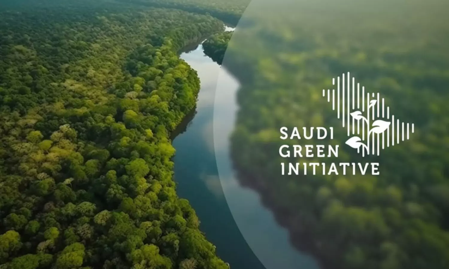 ‘ഒരു കൈ നടുന്നു, ഒരു നാട് തളിർക്കുന്നു’:  ദേശീയ വനവത്കരണ സീസൺ ഇന്ന് ആരംഭിക്കും