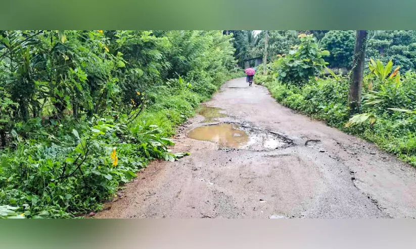 റോഡ് കുഴികളിൽ മലിനജലം; ദുരിതം റോഡ് കുഴികളിൽ മലിനജലം; ദുരിതം
