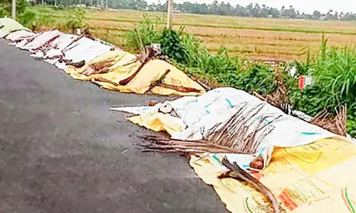 നെല്ല് സംഭരണം; വഴങ്ങാതെ മില്ലുകാർ; ആധിയോടെ കർഷകർ