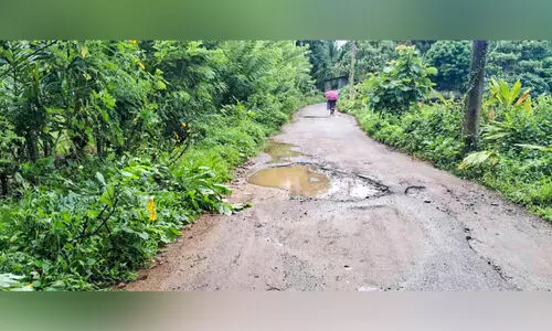 റോഡ് കുഴികളിൽ മലിനജലം; ദുരിതം