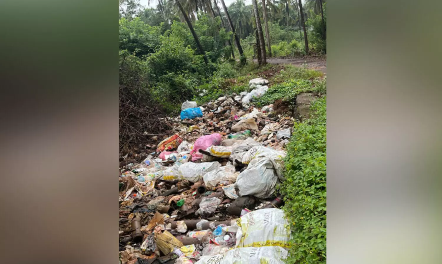 ജലാശയങ്ങളിലേക്ക്​ മാലിന്യം തള്ളൽ തുടരുന്നു; നടപടിയില്ല