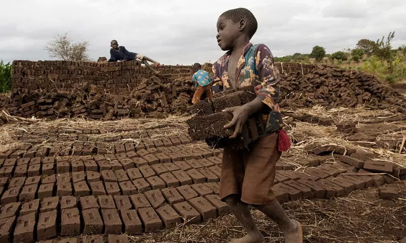 ദക്ഷിണ സുഡാനിലെ ഭൂരിഭാഗം കുട്ടികളും ബാലവേല ചെയ്യുന്നവരെന്ന് പഠനം ദക്ഷിണ സുഡാനിലെ ഭൂരിഭാഗം കുട്ടികളും ബാലവേല ചെയ്യുന്നവരെന്ന് പഠനം