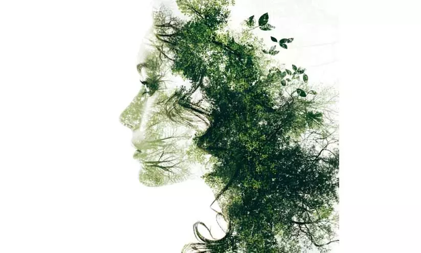 പൊരുൾതിരിവ്