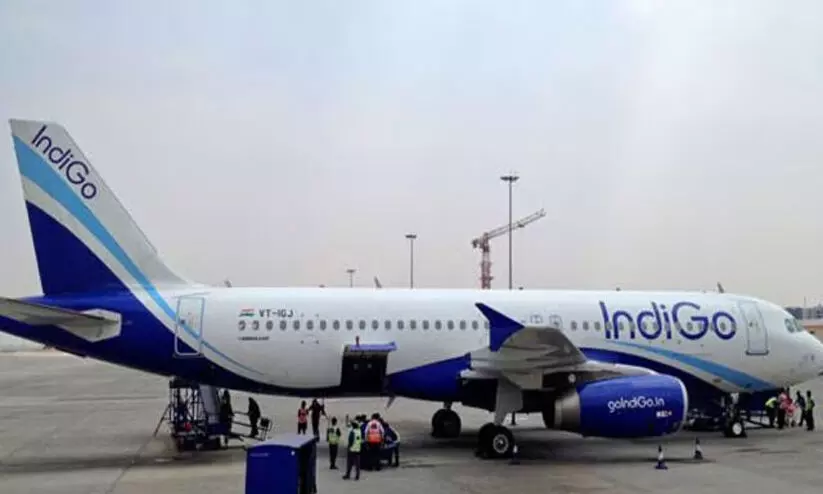 indigo sevice indigo sevice