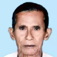 നാരായണൻ നായർ