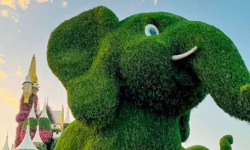 മിറാക്ൾ ഗാർഡനിൽ ജന്മദിനത്തിൽ സൗജന്യ പ്രവേശനം മിറാക്ൾ ഗാർഡനിൽ ജന്മദിനത്തിൽ സൗജന്യ പ്രവേശനം