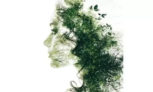 പൊരുൾതിരിവ് പൊരുൾതിരിവ്