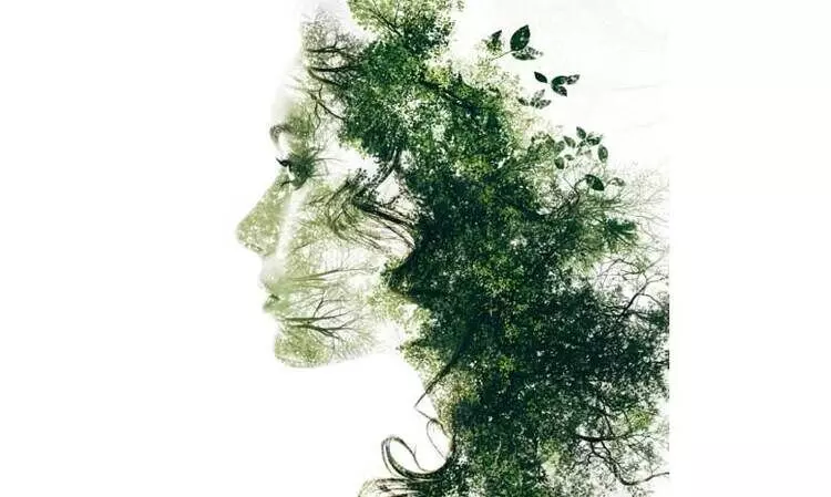 പൊരുൾതിരിവ്