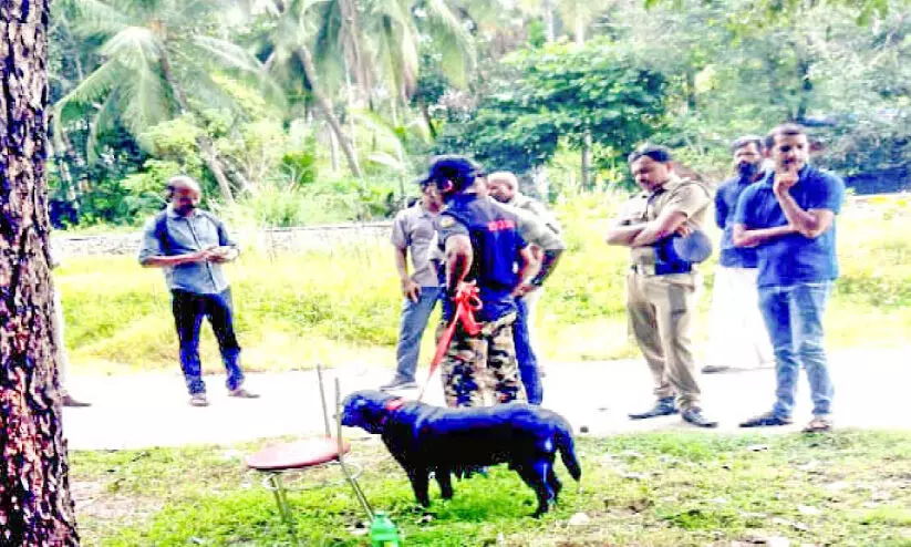 റെയിൽവേ ഭൂമിയിൽ സ്ഫോടനം: അന്വേഷണം തുടങ്ങി റെയിൽവേ ഭൂമിയിൽ സ്ഫോടനം: അന്വേഷണം തുടങ്ങി
