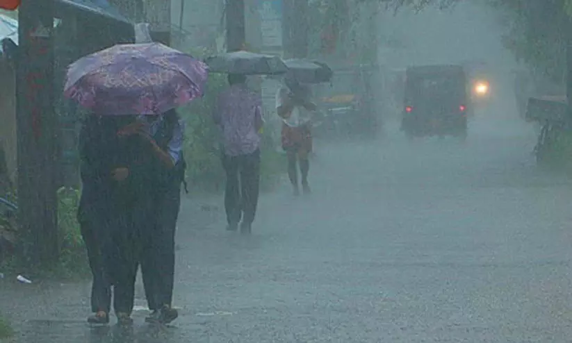 മഴ: തൃശൂര് ജില്ലയിലെ വിദ്യാഭ്യാസ സ്ഥാപനങ്ങള്ക്ക് നാളെ അവധി മഴ: തൃശൂര് ജില്ലയിലെ വിദ്യാഭ്യാസ സ്ഥാപനങ്ങള്ക്ക് നാളെ അവധി