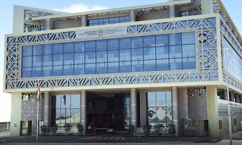 സ്വദേശിവത്കരണം പൂർത്തിയാക്കണം; സ്വകാര്യ കമ്പനികൾക്ക് യു.എ.ഇ​ മുന്നറിയിപ്പ്​