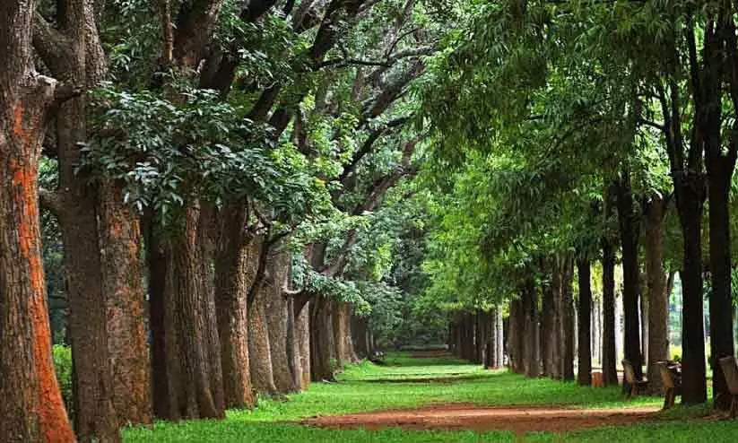 ക​ബ്ബ​ൺ പാ​ർ​ക്ക് വി​ക​സ​ന​ത്തി​ന് അ​ഞ്ചു​കോ​ടി രൂ​പ അ​നു​വ​ദി​ക്കും -ഡി.​കെ. ശി​വ​കു​മാ​ർ