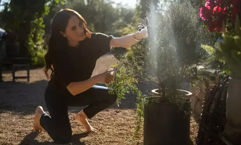 എന്തുകൊണ്ടാണ് മേഗൻ മാൾക്കിൾ നഗ്ന പാദയായി നടക്കാൻ ഇഷ്ടപ്പെടുന്നത്? എന്തുകൊണ്ടാണ് മേഗൻ മാൾക്കിൾ നഗ്ന പാദയായി നടക്കാൻ ഇഷ്ടപ്പെടുന്നത്?