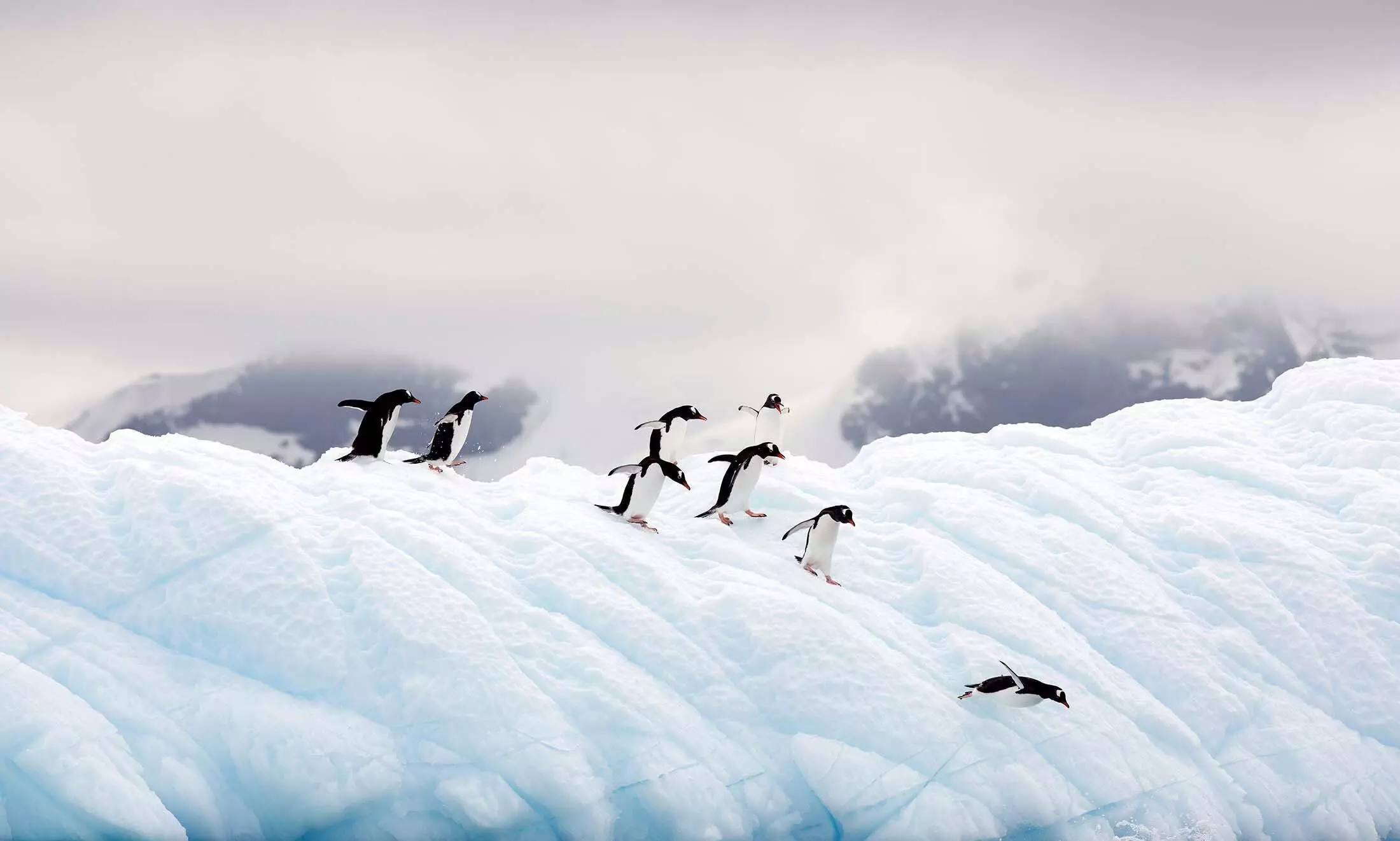 Day and night in Antarctica Day and night in Antarctica