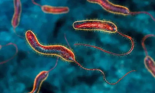 സംസ്ഥാനത്ത് വീണ്ടും കോളറ: രോഗം സ്ഥിരീകരിച്ചത് ഇതര സംസ്ഥാന തൊഴിലാളിക്ക്