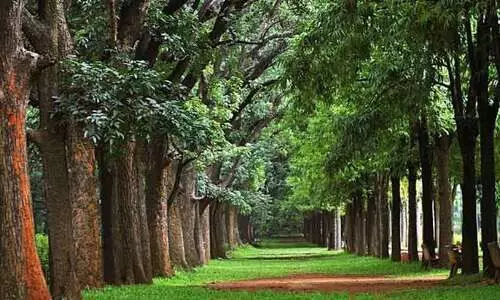 ക​ബ്ബ​ൺ പാ​ർ​ക്ക് വി​ക​സ​ന​ത്തി​ന് അ​ഞ്ചു​കോ​ടി രൂ​പ അ​നു​വ​ദി​ക്കും -ഡി.​കെ. ശി​വ​കു​മാ​ർ