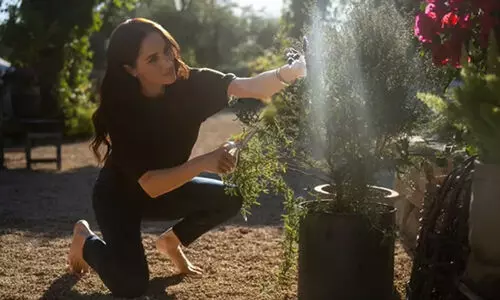 എന്തുകൊണ്ടാണ് മേഗൻ മാൾക്കിൾ നഗ്ന പാദയായി നടക്കാൻ ഇഷ്ടപ്പെടുന്നത്‍?