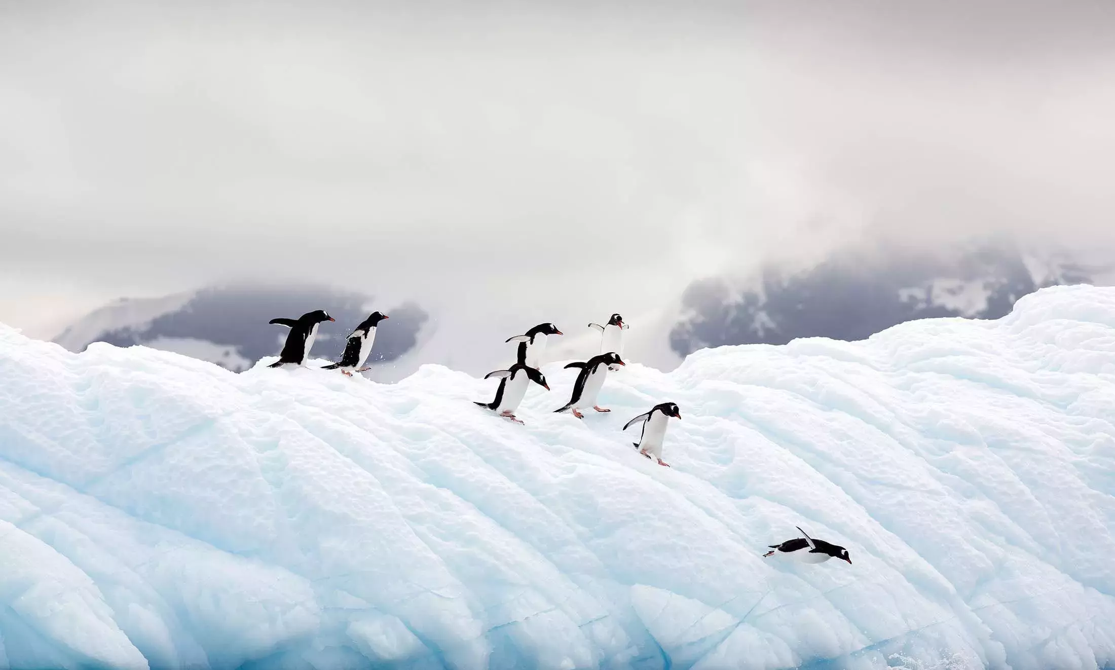 Day and night in Antarctica Day and night in Antarctica