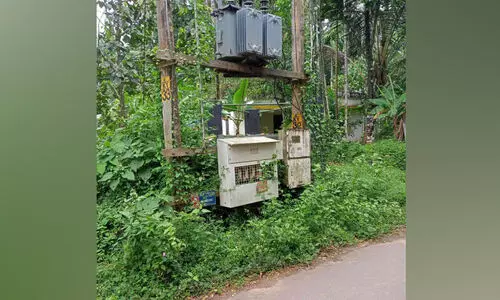 ട്രാൻസ്ഫോർമർ കാടുകയറി അപകടഭീഷണി ഉയർത്തുന്നു