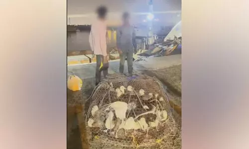 അ​ന​ധി​കൃ​ത പ​ക്ഷി​വേ​ട്ട​ക്കെ​തി​രെ ന​ട​പ​ടി​യു​മാ​യി പ​രി​സ്ഥി​തി മ​ന്ത്രാ​ല​യം