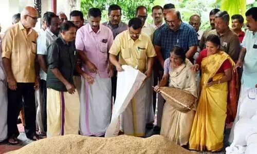 ആലത്തൂർ സഹകരണ ബാങ്ക്   നെല്ല് ശേഖരണം തുടങ്ങി 24.50 രൂ​പ​യ്ക്കാ​ണ് നെ​ല്ല്  ശേ​ഖ​രി​ക്കു​ന്ന​ത്