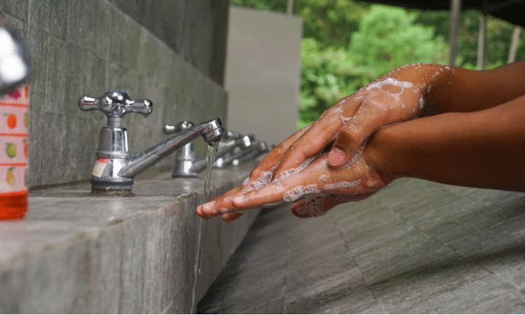 കൈകഴുകാൻ ആന്‍റി ബാക്ടീരിയൽ സോപ്പ് അനിവാര്യമാണോ? ഇങ്ങനെ കൈകഴുകിയാൽ അണുബാധ തടയാം