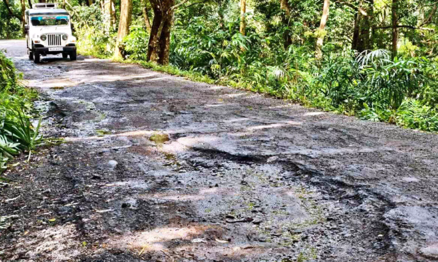 മണ്ഡലകാലം: അച്ചൻകോവിൽ യാത്ര കഠിനമാകും