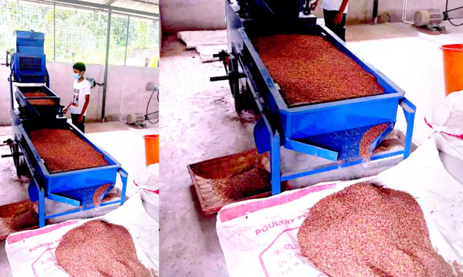 കിളിമാനൂരിന്റെ സ്വന്തം കുത്തരി