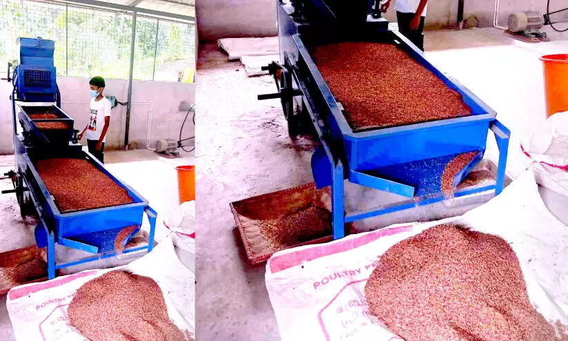 കിളിമാനൂരിന്റെ സ്വന്തം കുത്തരി