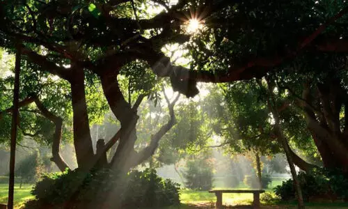 കബ്ബൺ പാർക്കിലെ പിക് നിക് നിരോധനം പുനഃപരിശോധിക്കണമെന്ന് ആവശ്യം കബ്ബൺ പാർക്കിലെ പിക് നിക് നിരോധനം പുനഃപരിശോധിക്കണമെന്ന് ആവശ്യം