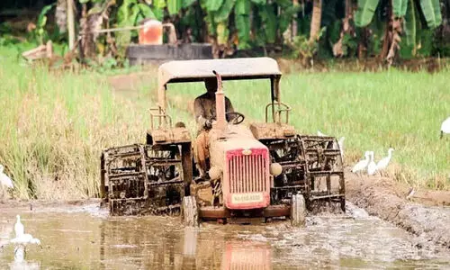നെല്ല് സംഭരിച്ച തുക നൽകാതെ സർക്കാർ; വലഞ്ഞ് കർഷകർ