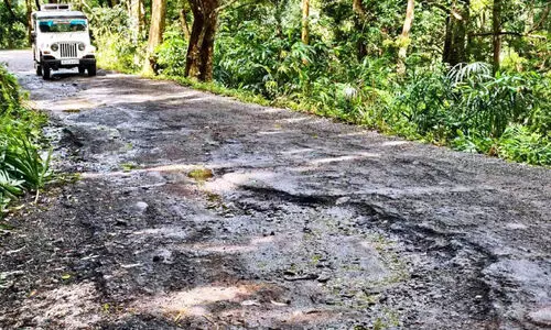 മണ്ഡലകാലം: അച്ചൻകോവിൽ യാത്ര കഠിനമാകും