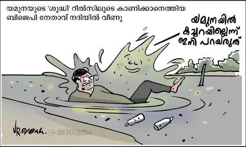 റീൽസ്