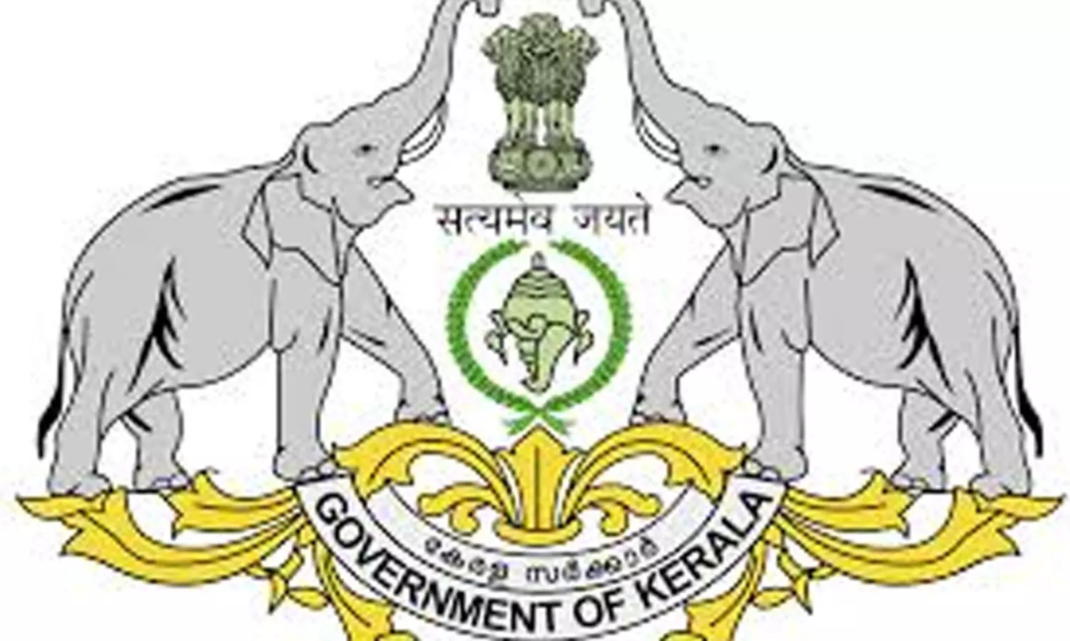 വൻകിട ഭൂമി കൈയേറ്റം; തിരിച്ചുപിടിച്ചത് 4.13 ഹെക്ടർ